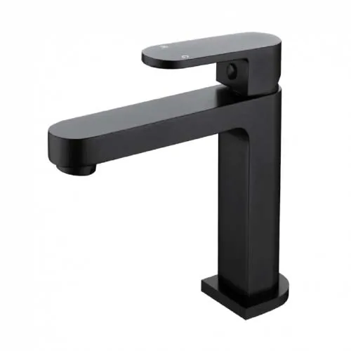 Eva Mini Basin Mixer Electroplated
Matt Black