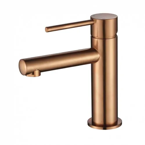 Star Mini Basin Mixer PVD
Champagne