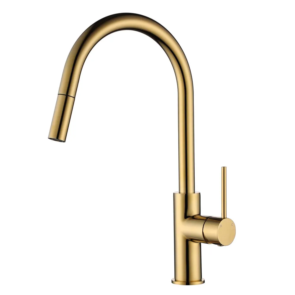 Star Mini Pull Out Kitchen Mixer PVD
Polished Brass