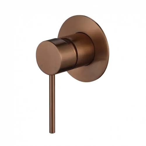 Star Mini Shower Mixer 80Mm PVD
Champagne