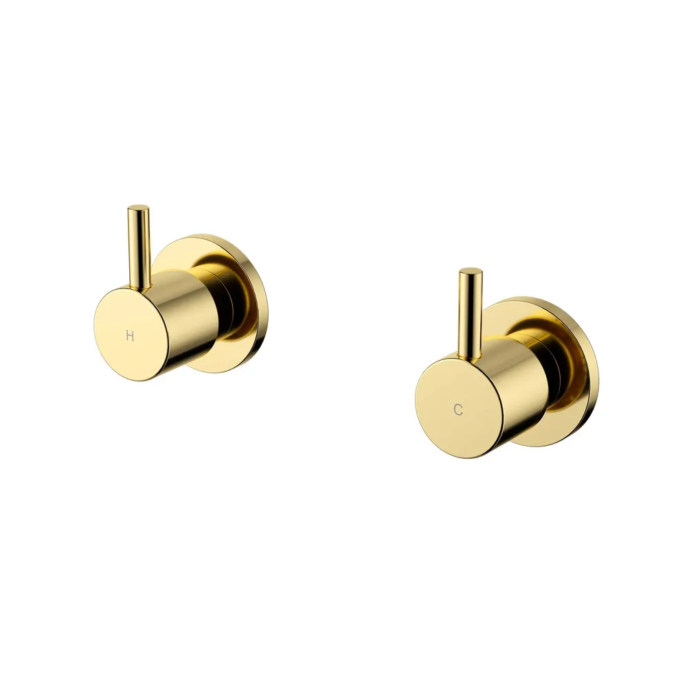 Star Mini Wall Top Assemblies PVD
Polished Brass