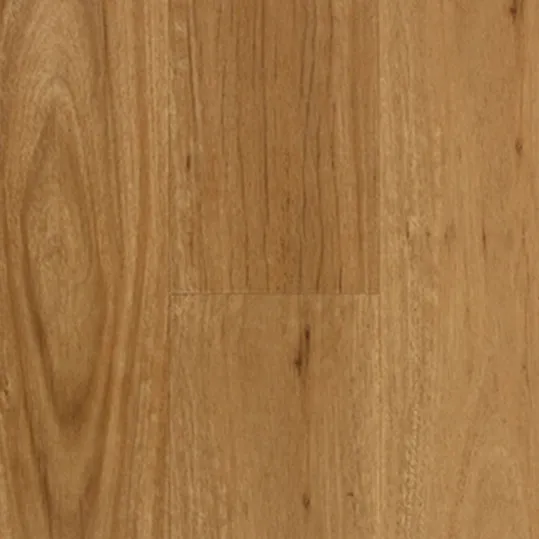 Aspire Hybrid Click Coastal Blackbutt