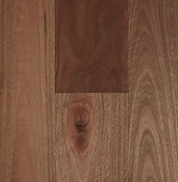 Fiddleback Engineered T&G Spotted Gum