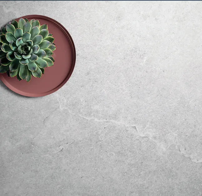 Enzo Moon SurfaceTec thumbnail 3