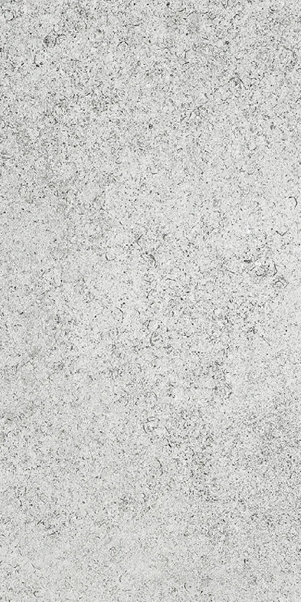 Reefstone Silver External thumbnail 2